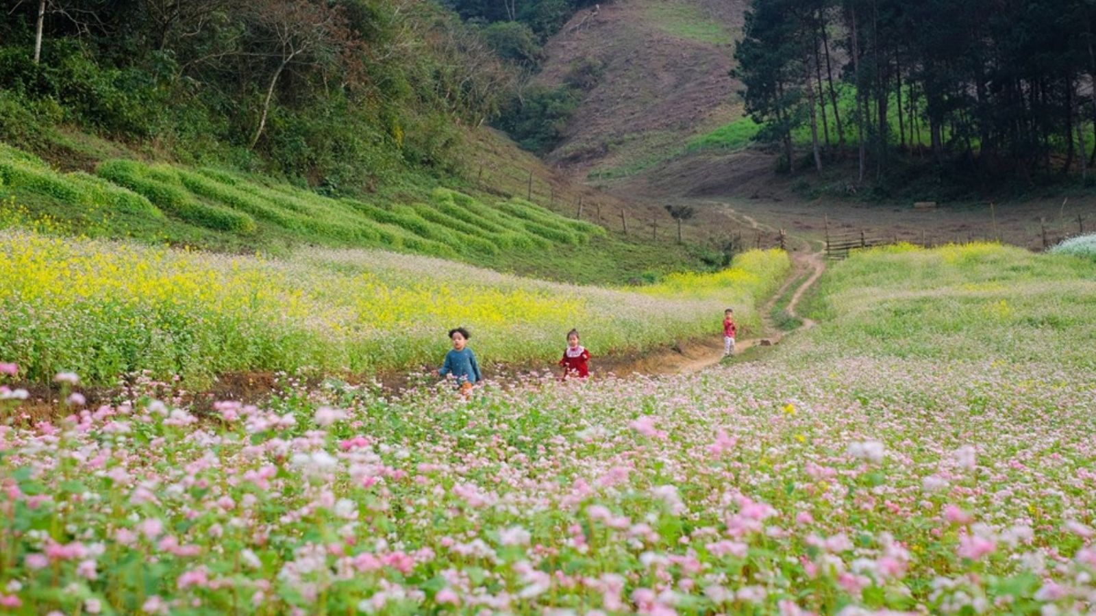 ĐIỆN BIÊN - A PA CHẢI - MƯỜNG PHĂNG ( THỨ 5 HÀNG TUẦN )